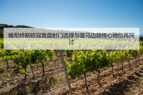 维尼修斯欧冠复盘射门选择与皇马边路核心地位再探讨